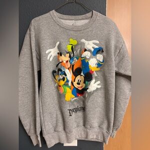 Disneyland Hanes Gray Crewneck Sweater kids sz large 14/16
